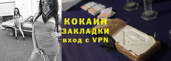 стафф Аркадак