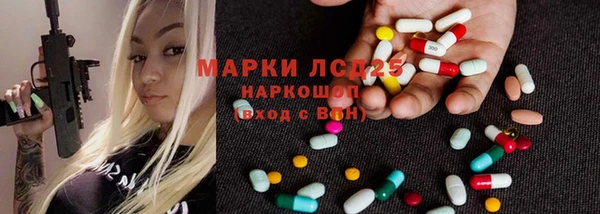 стафф Аркадак