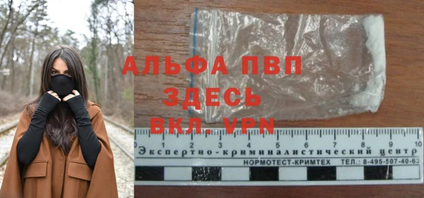 стафф Аркадак