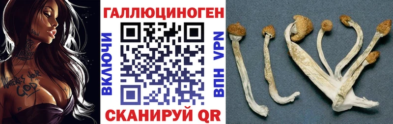 KRAKEN сайт Слюдянка Галлюциногенные грибы ЛСД нарко площадка формула купить